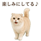 852395911