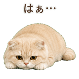 852395914