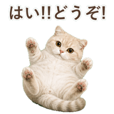 852395917