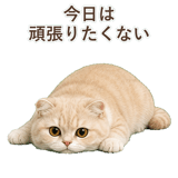 852395918