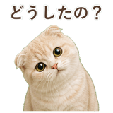 852395934