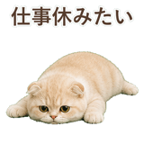 852395938