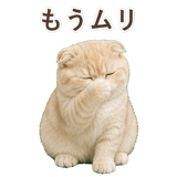 852395942