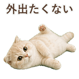 852395943