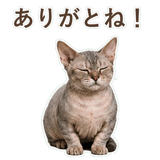 852396209