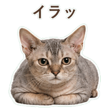 852396210