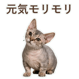 852396212