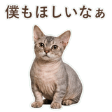 852396214