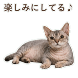 852396215