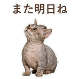 852396220