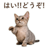 852396221