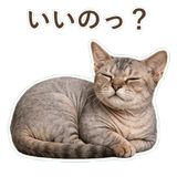 852396223