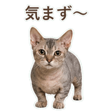 852396224