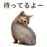 852396227