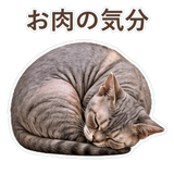 852396229