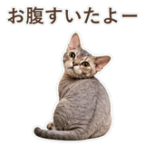 852396232