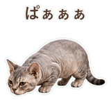 852396234