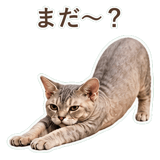 852396236