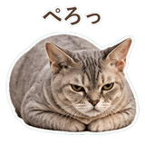 852396237
