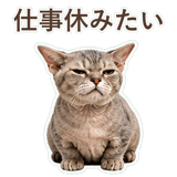852396242