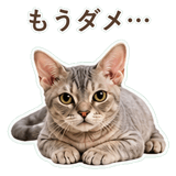 852396244