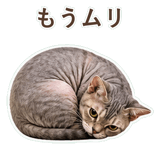 852396246