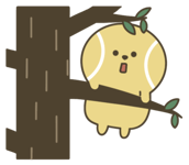 852396537