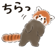 852396781