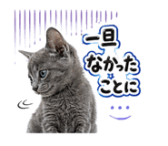 852396812