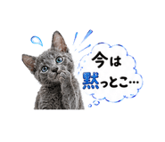 852396833