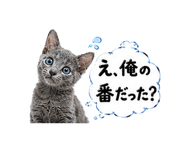 852396836