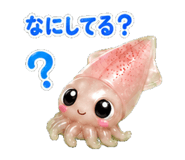 852397106