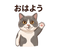 852397249