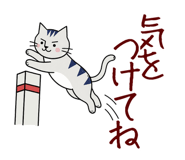852397362