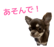 852397601