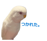 852397606