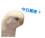 852402249