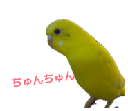 852402252