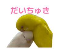 852402255