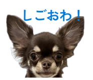 852402261