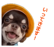 852402275