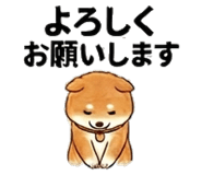 852402773