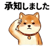 852402775