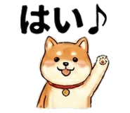 852402776