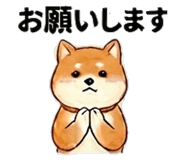 852402777