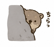 852403250