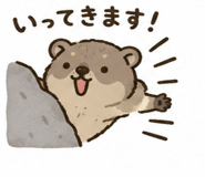 852403256