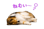 852403624