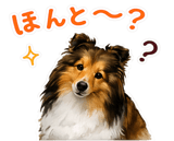 852403643