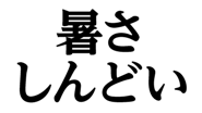 852404244
